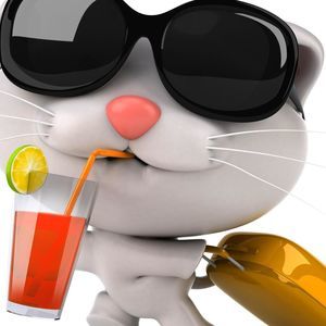 Meet your Posher, Moses